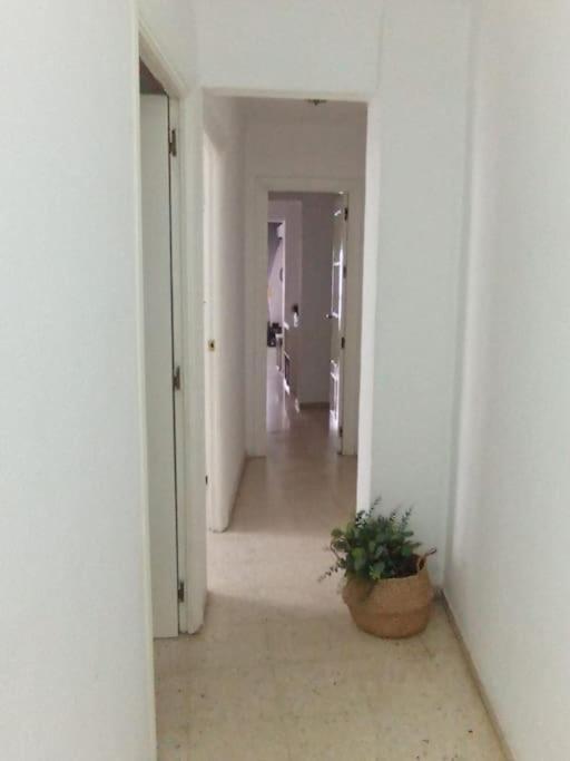 Apartamento Plaza Toros Sevilla Exterior foto